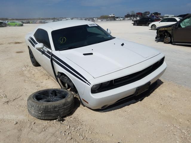 DODGE CHALLENGER 2013 2c3cdyag7dh651787