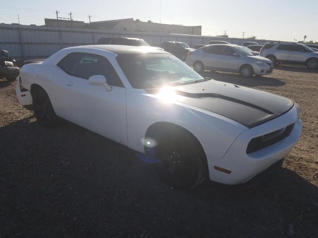 DODGE CHALLENGER 2013 2c3cdyag7dh663275