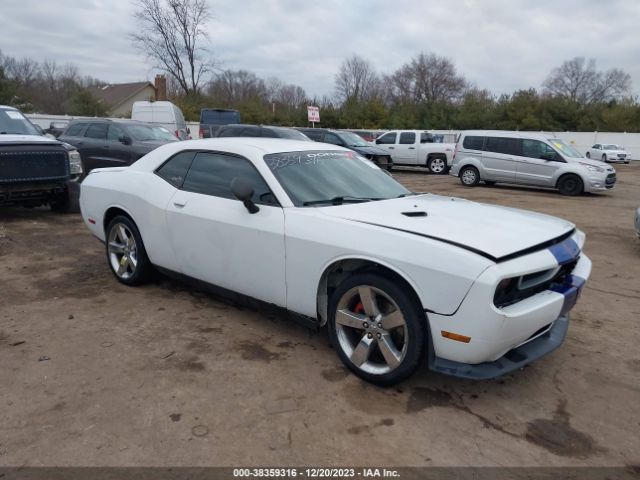 DODGE CHALLENGER 2013 2c3cdyag7dh675992