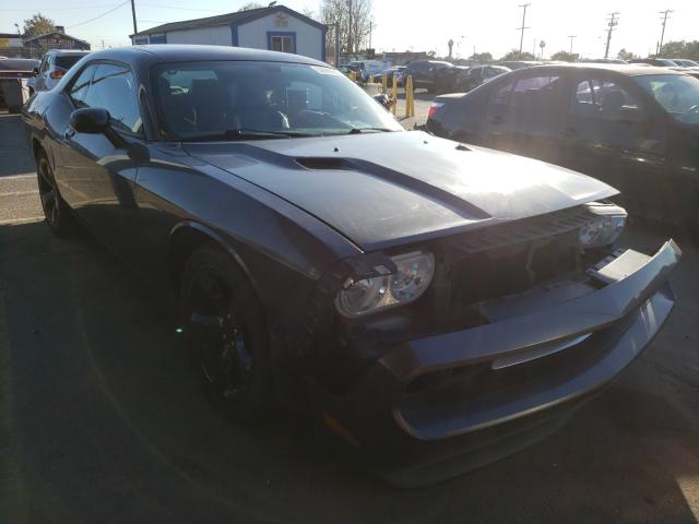 DODGE CHALLENGER 2013 2c3cdyag7dh685826