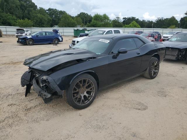 DODGE CHALLENGER 2013 2c3cdyag7dh734202