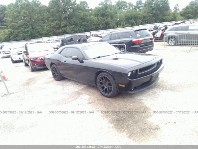 DODGE CHALLENGER 2013 2c3cdyag7dh734362