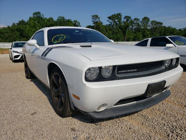 DODGE CHALLENGER 2014 2c3cdyag7eh115309