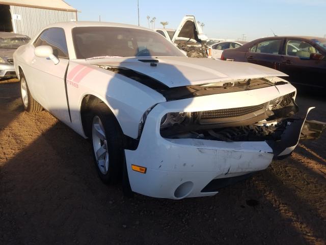 DODGE CHALLENGER 2014 2c3cdyag7eh204054