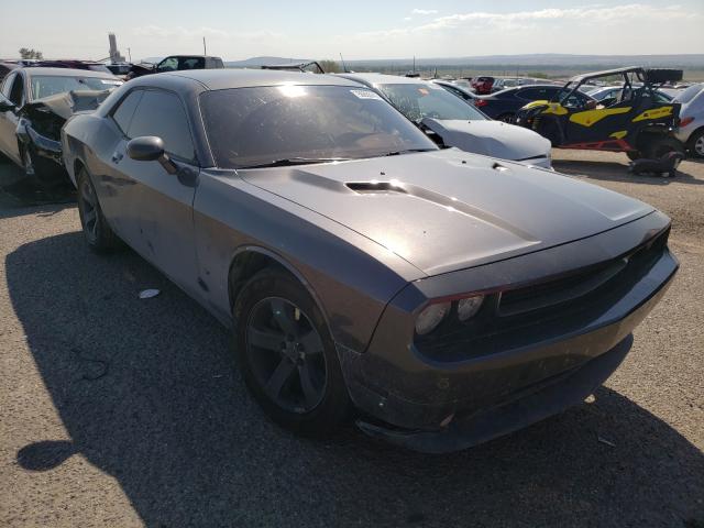 DODGE CHALLENGER 2014 2c3cdyag7eh233134