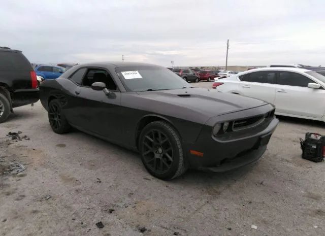 DODGE CHALLENGER 2014 2c3cdyag7eh250953