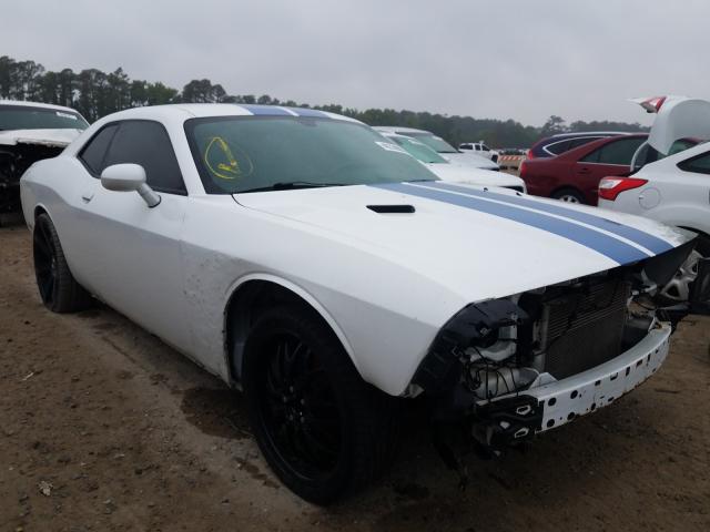 DODGE CHALLENGER 2013 2c3cdyag8dh517788