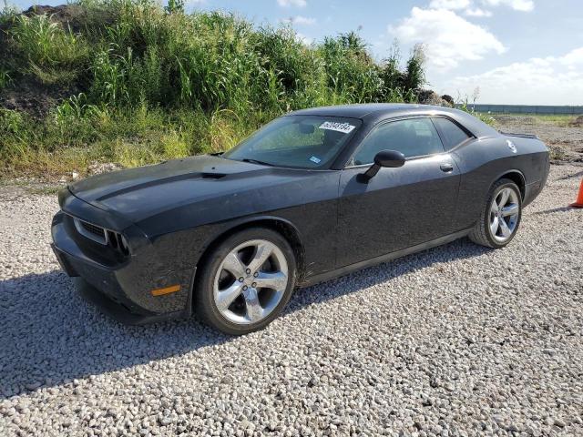 DODGE CHALLENGER 2013 2c3cdyag8dh540293