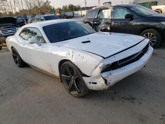 DODGE CHALLENGER 2013 2c3cdyag8dh553674