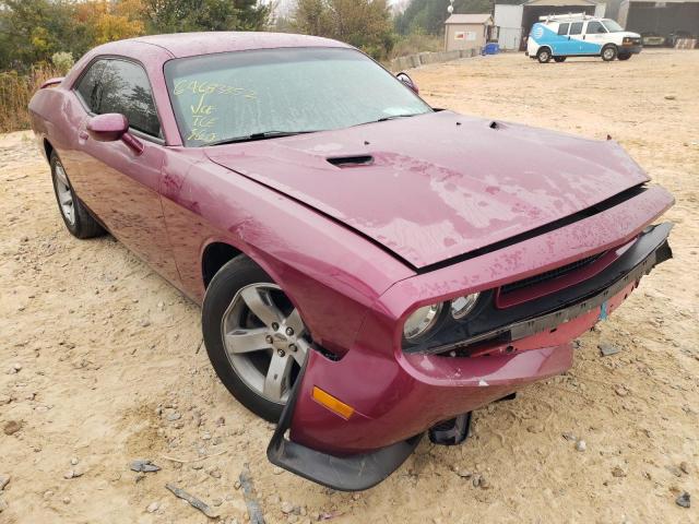 DODGE CHALLENGER 2013 2c3cdyag8dh566313