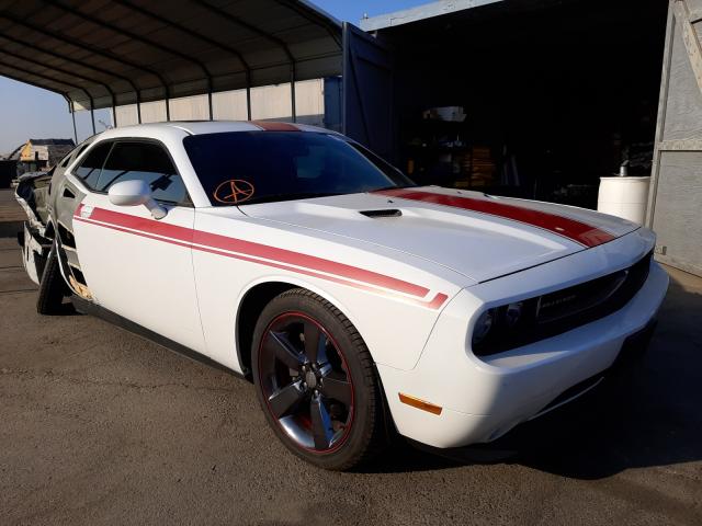 DODGE CHALLENGER 2013 2c3cdyag8dh734242