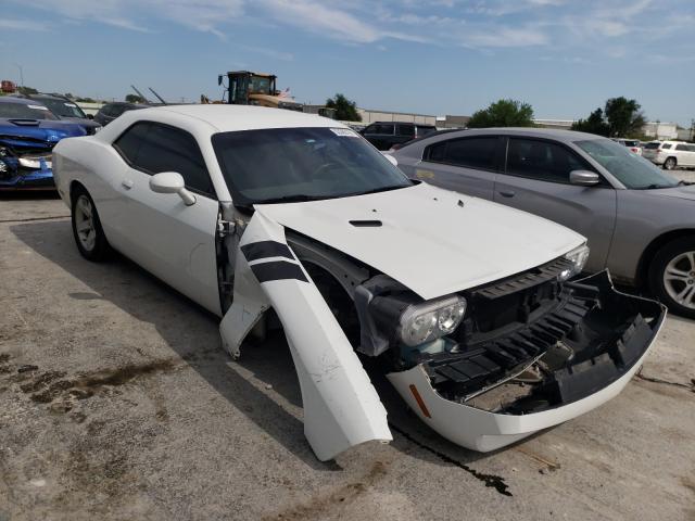 DODGE CHALLENGER 2013 2c3cdyag8dh736797