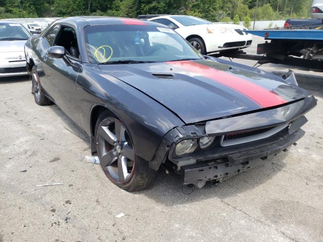 DODGE CHALLENGER 2014 2c3cdyag8eh139330