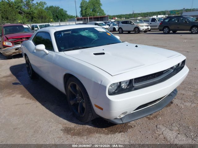 DODGE CHALLENGER 2014 2c3cdyag8eh201776