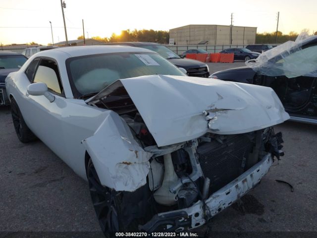 DODGE CHALLENGER 2014 2c3cdyag8eh244935