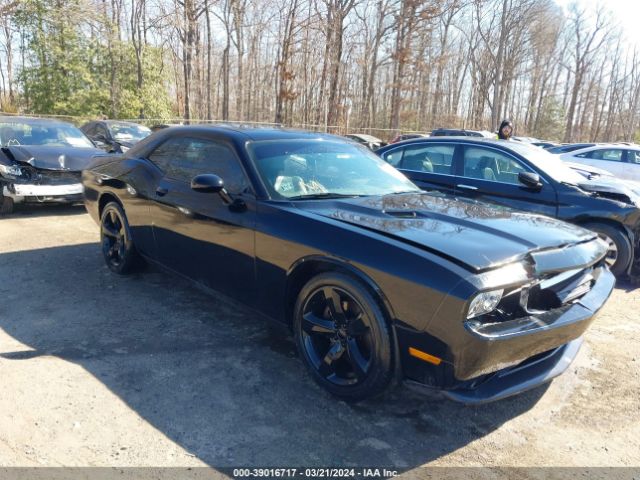 DODGE CHALLENGER 2014 2c3cdyag8eh299207