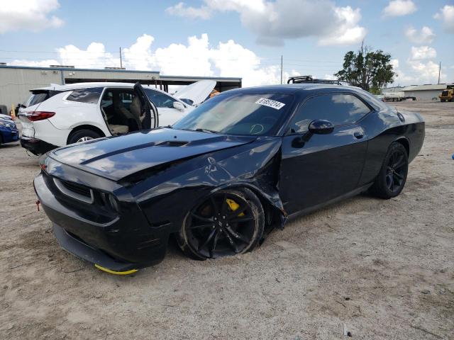 DODGE CHALLENGER 2013 2c3cdyag9dh539489