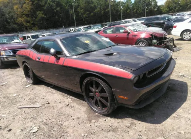 DODGE CHALLENGER 2013 2c3cdyag9dh596436