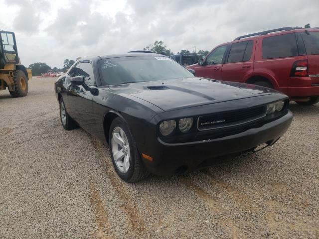 DODGE CHALLENGER 2013 2c3cdyag9dh607869