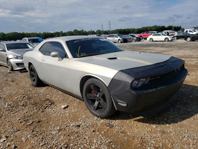 DODGE CHALLENGER 2013 2c3cdyag9dh674973