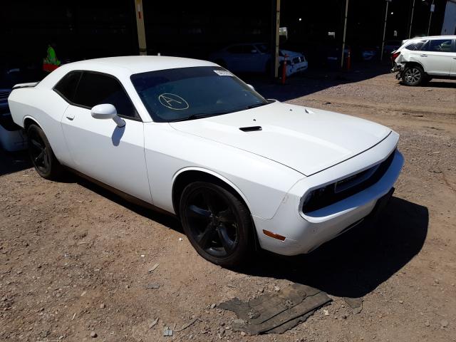 DODGE CHALLENGER 2013 2c3cdyag9dh675993