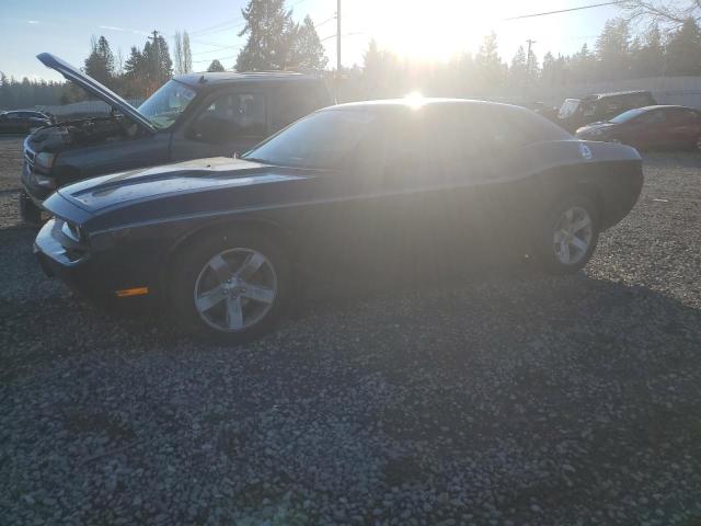 DODGE CHALLENGER 2013 2c3cdyag9dh729325