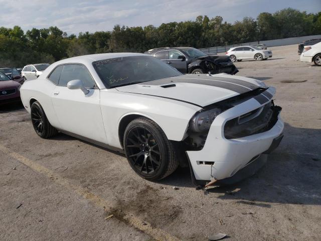 DODGE CHALLENGER 2014 2c3cdyag9eh214522