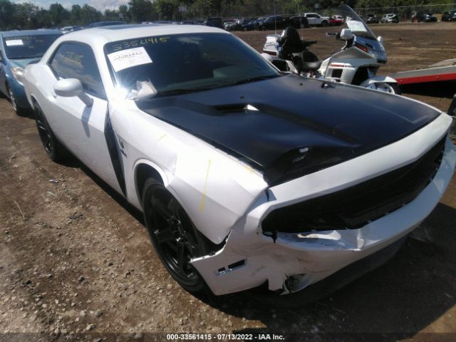 DODGE CHALLENGER 2014 2c3cdyag9eh270007