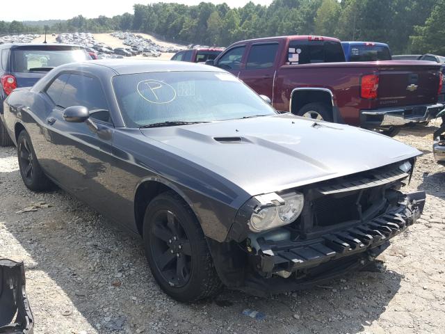 DODGE CHALLENGER 2014 2c3cdyag9eh277166