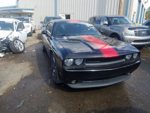 DODGE CHALLENGER 2013 2c3cdyagxdh695251