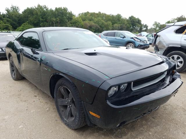 DODGE CHALLENGER 2014 2c3cdyagxeh110475