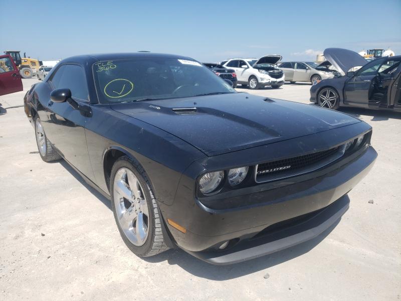 DODGE CHALLENGER 2012 2c3cdybt3ch280850