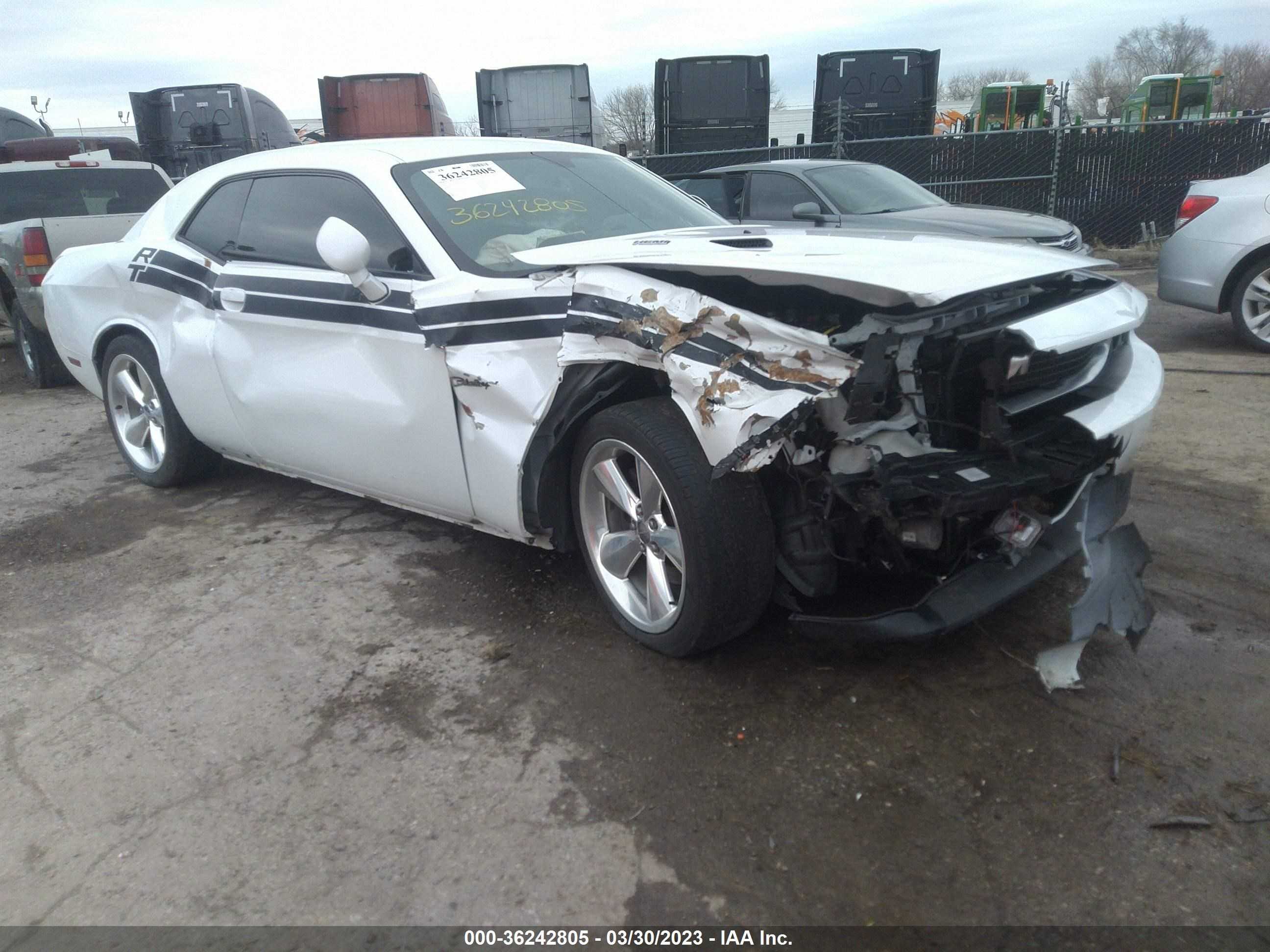 DODGE CHALLENGER 2014 2c3cdybt4eh313924