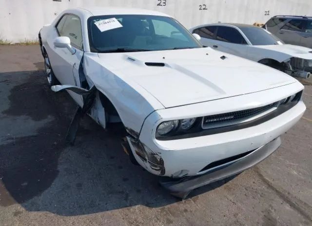 DODGE CHALLENGER 2014 2c3cdybt5eh205425