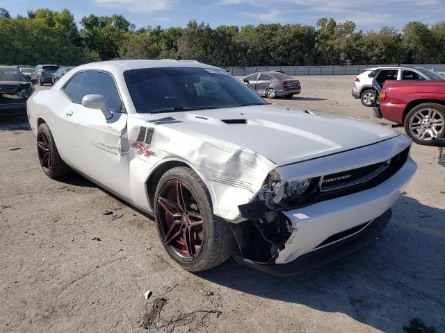 DODGE CHALLENGER 2014 2c3cdybt5eh247738