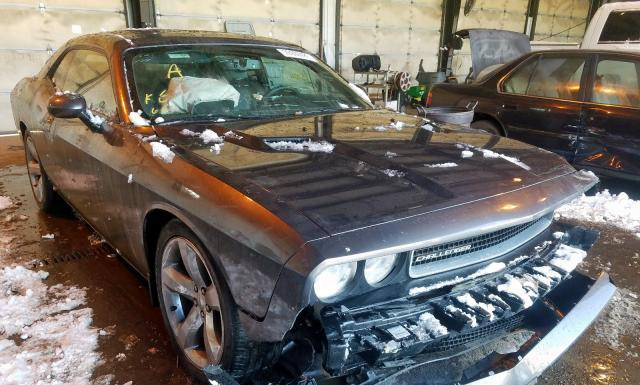 DODGE CHALLENGER 2014 2c3cdybt6eh306666