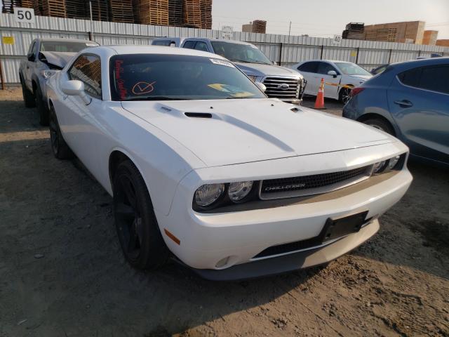 DODGE CHALLENGER 2012 2c3cdybtxch157482