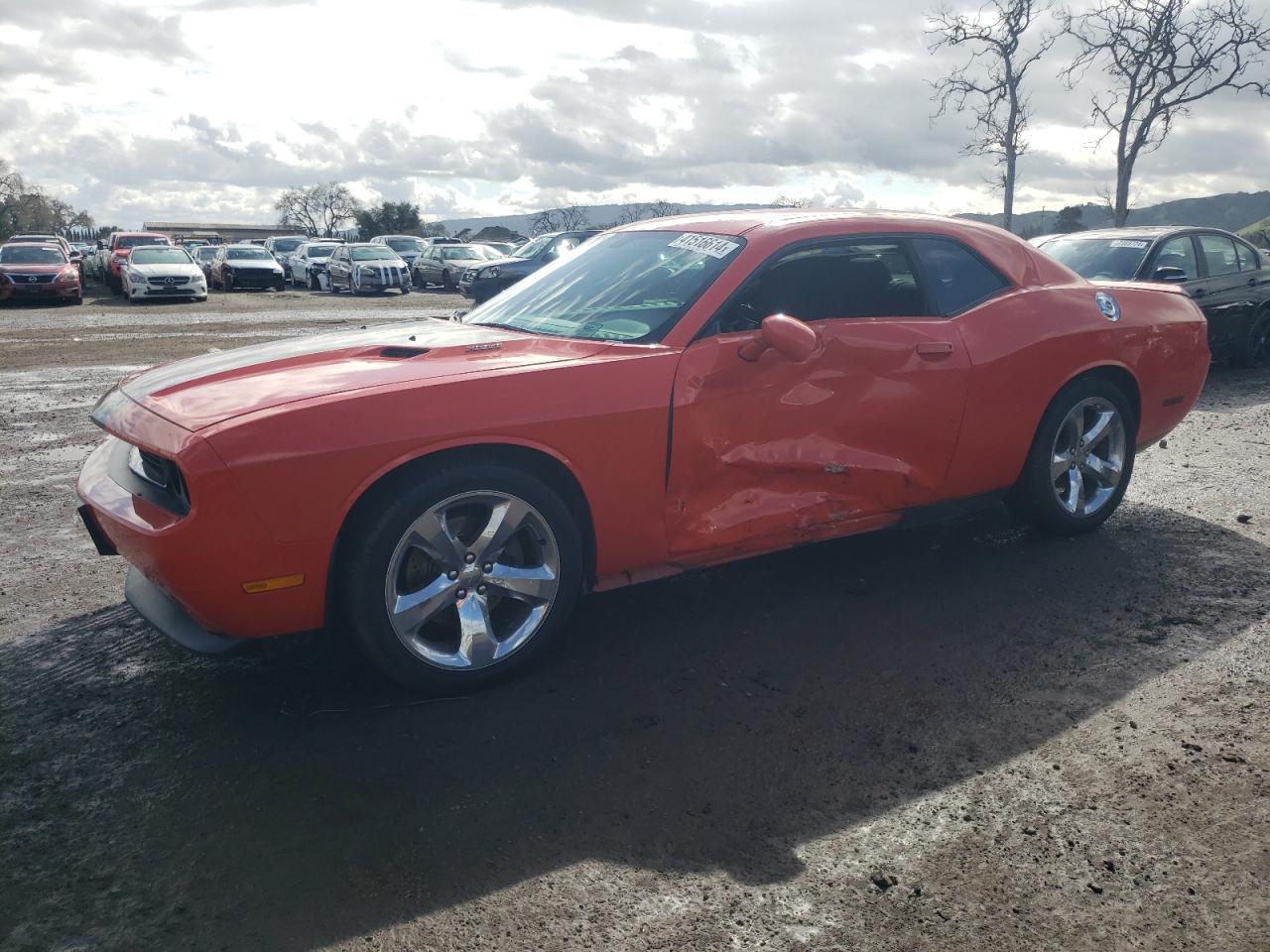 DODGE CHALLENGER 2013 2c3cdybtxdh736571