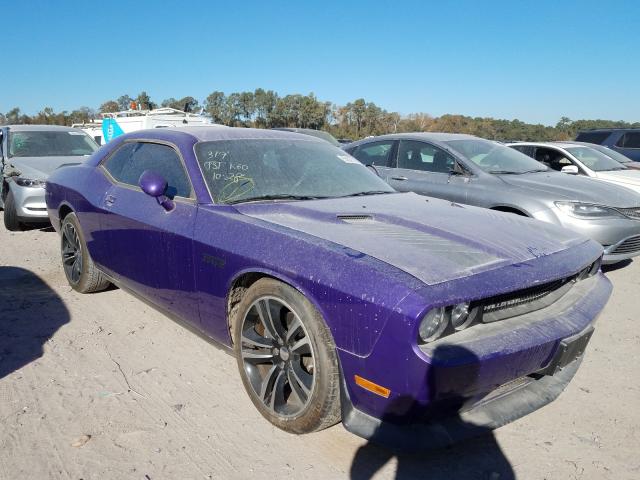 DODGE CHALLENGER 2014 2c3cdydj2eh121879