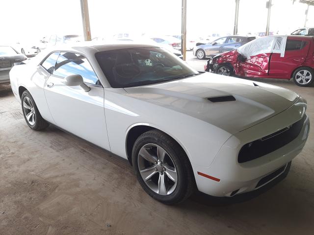 DODGE CHALLENGER 2019 2c3cdzag1kh733842