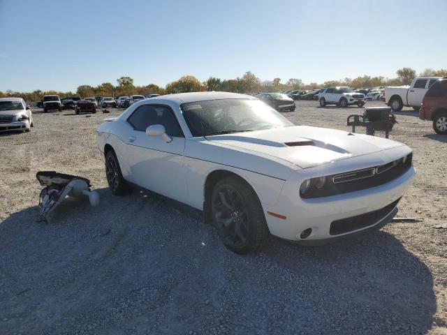 DODGE CHALLENGER 2019 2c3cdzag5kh557877