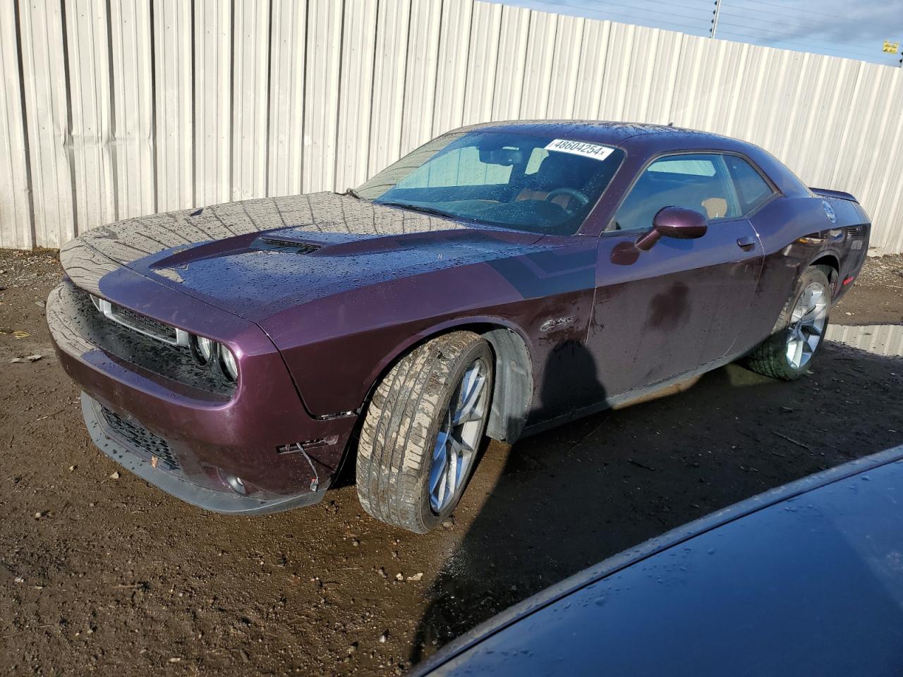 DODGE CHALLENGER 2020 2c3cdzagxlh184563