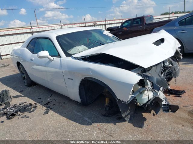 DODGE CHALLENGER 2019 2c3cdzbt1kh616211