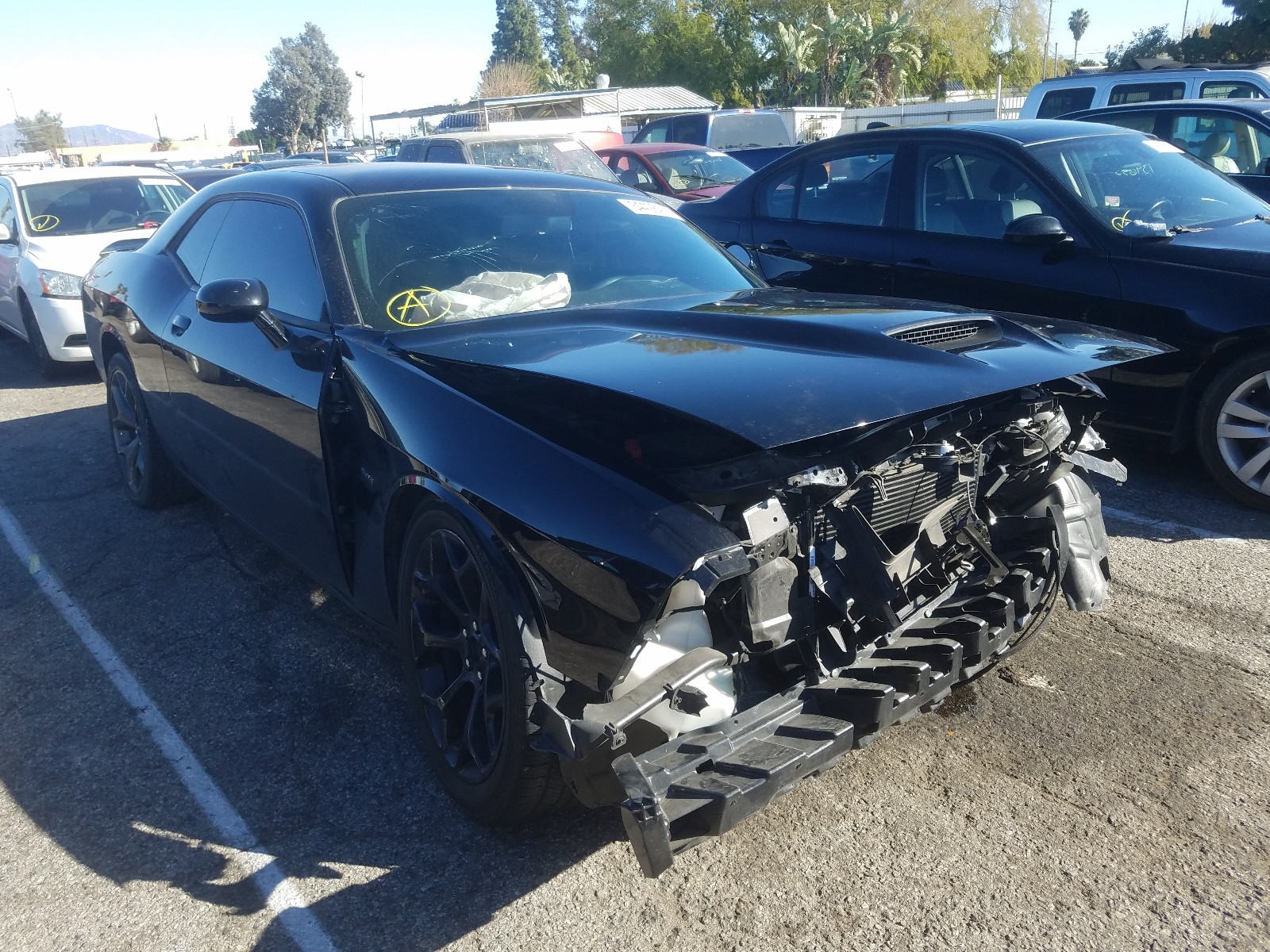 DODGE CHALLENGER 2019 2c3cdzbt3kh637464