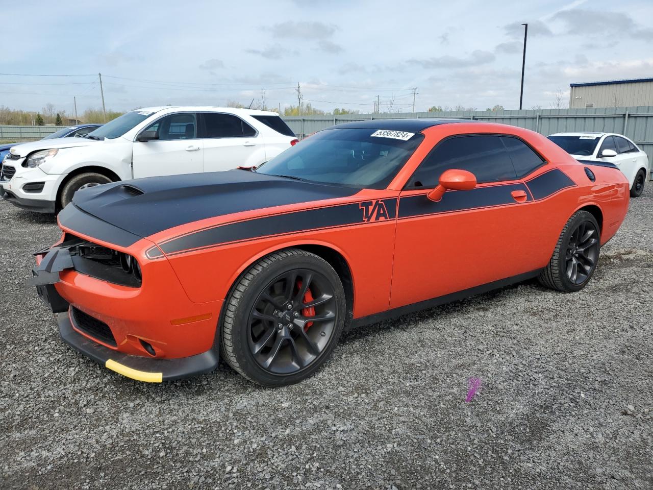 DODGE CHALLENGER 2021 2c3cdzbt7mh559550