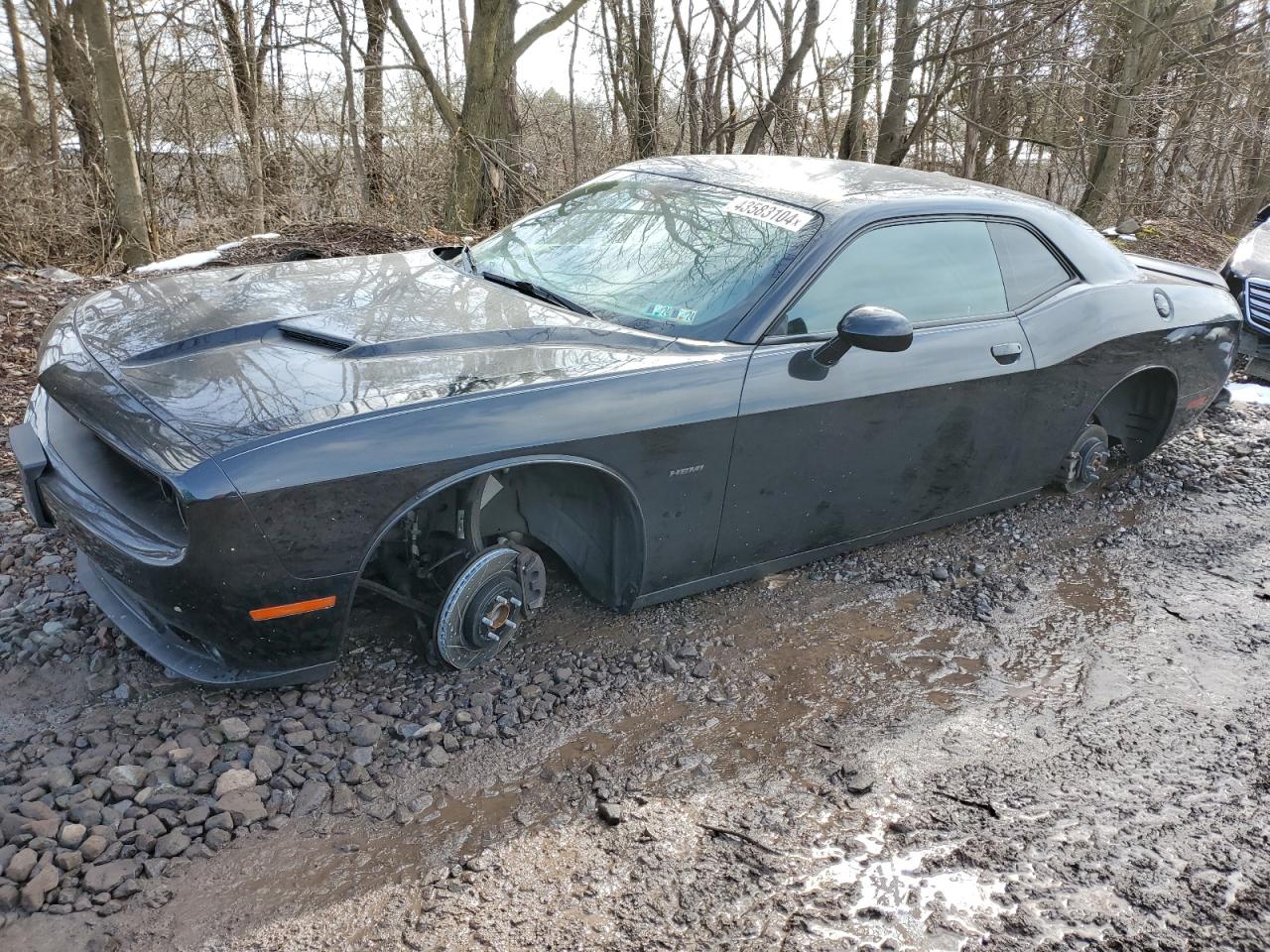 DODGE CHALLENGER 2018 2c3cdzbt9jh311604