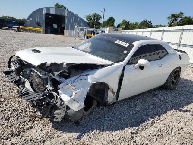 DODGE CHALLENGER 2019 2c3cdzbt9kh557084