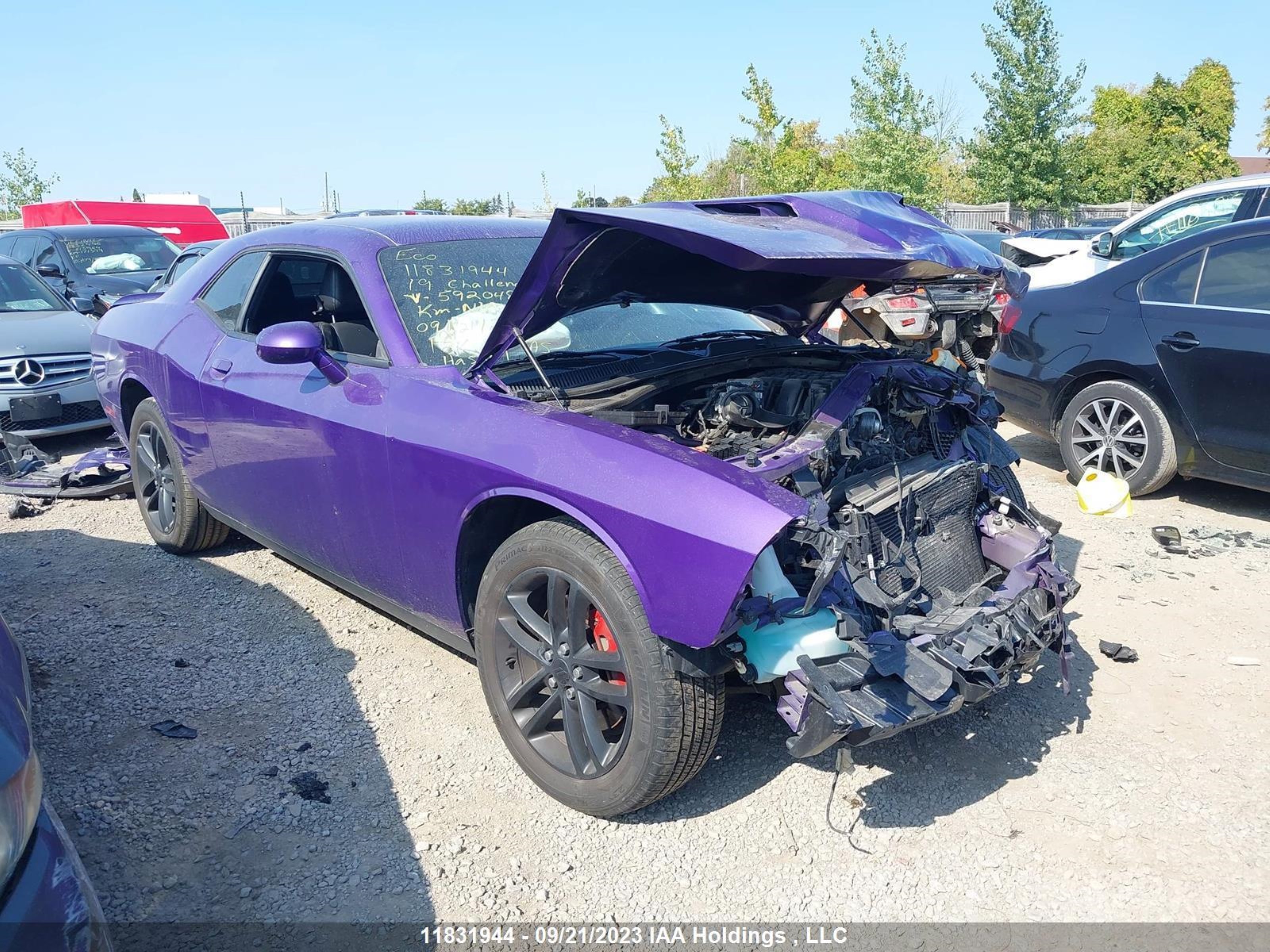 DODGE CHALLENGER 2019 2c3cdzggxkh592048