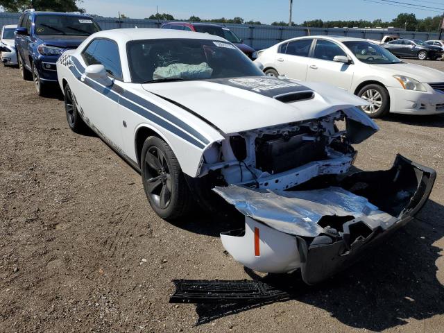 DODGE CHALLENGER 2019 2c3cdzjg8kh541561