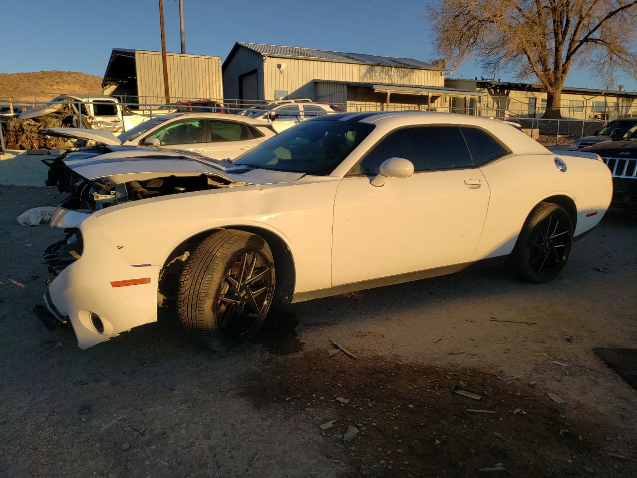 DODGE CHALLENGER 2019 2c3cdzkg8kh504640